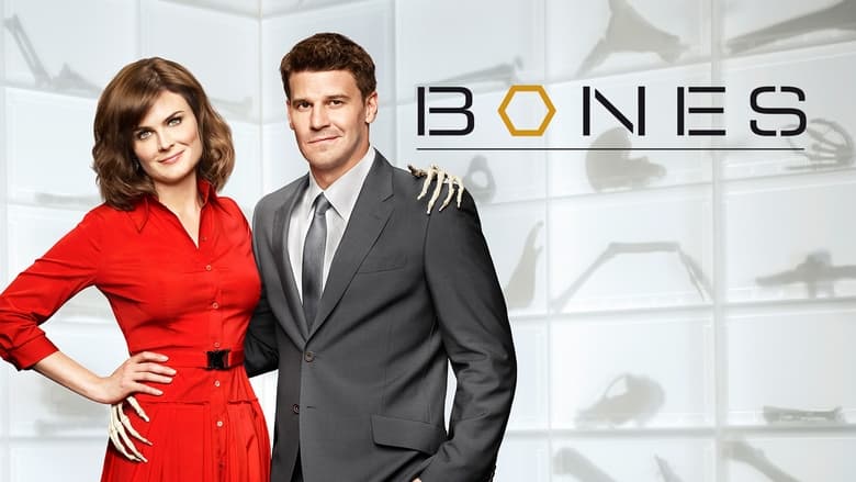 Bones Season 4 Episode 19 : The Science in the Physicist