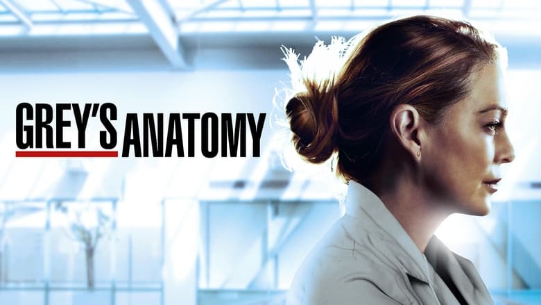 Grey's Anatomy Season 9 Episode 22 : Do You Believe in Magic?