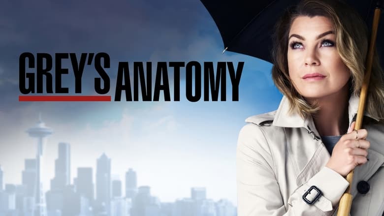 Grey's Anatomy Season 9 Episode 23 : Readiness is All