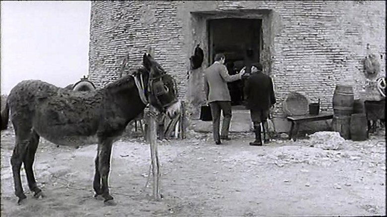 Il Successo koko elokuva ilmaiseksi