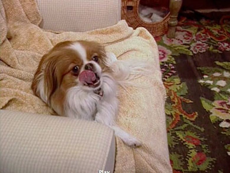 Watch The Secret Life of the American Teenager S05E03