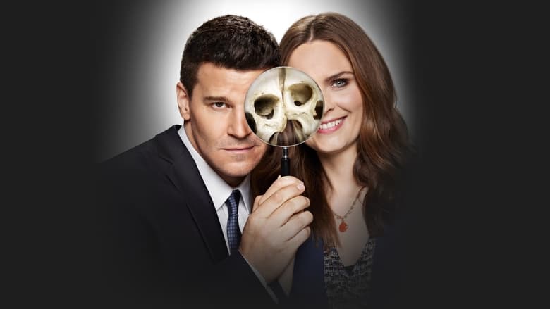 Bones Season 4 Episode 14 : The Hero In the Hold