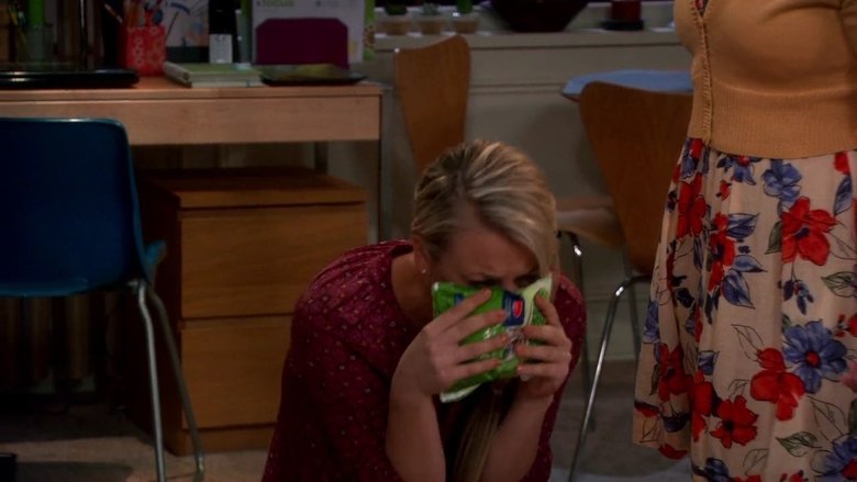 Tbbt Season 6 Episode 9