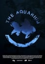 The Aquarium