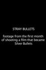 Stray Bullets