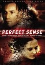 4-Perfect Sense