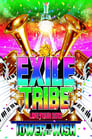 EXILE TRIBE LIVE TOUR 2012 ~TOWER OF WISH~