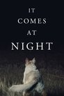 12-It Comes at Night
