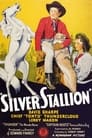 Silver Stallion