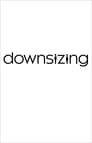 1-Downsizing