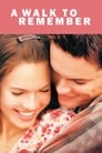 7-A Walk to Remember