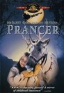 5-Prancer