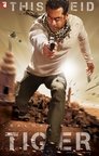 2-Ek Tha Tiger