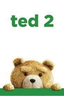 3-Ted 2