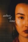 Ashes of Time Redux