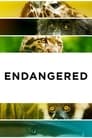 Endangered