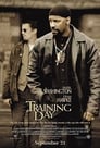 12-Training Day