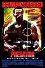 6-Predator