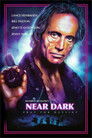 11-Near Dark