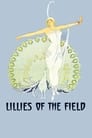 Lilies of the Field