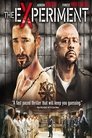3-The Experiment