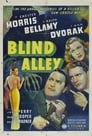 0-Blind Alley