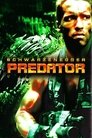 6-Predator