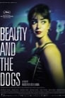 1-Beauty and the Dogs