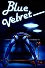 9-Blue Velvet