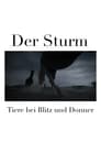 Der Sturm - Tiere bei Blitz und Donner