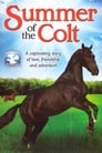 Summer of the Colt
