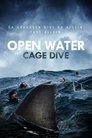 Open Water - Cage Dive Open Water - Cage Dive