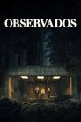 Los vigilantes