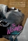 4-The Wound