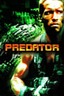 7-Predator