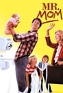 2-Mr. Mom