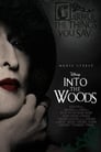 0-Into the Woods