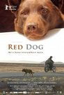 1-Red Dog