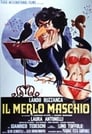 Il merlo maschio