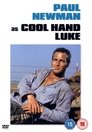 7-Cool Hand Luke
