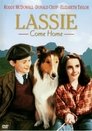 2-Lassie Come Home