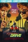 4-License to Drive