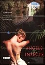 Angels and Insects