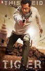 3-Ek Tha Tiger