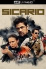 24-Sicario