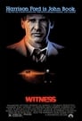 5-Witness