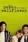 5-The Perks of Being a Wallflower