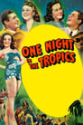 One Night in the Tropics