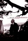 1-Wild Strawberries