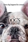 6-A Dog's Purpose